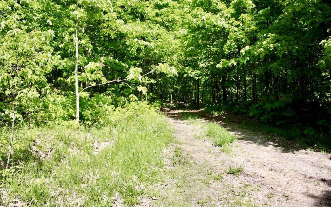 Photo of Others in Utterson