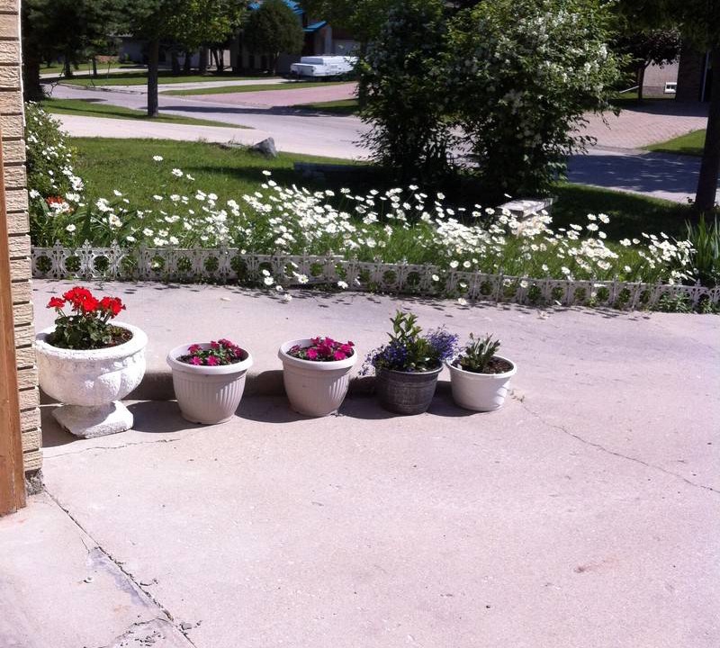 Photo of Others in Winnipeg