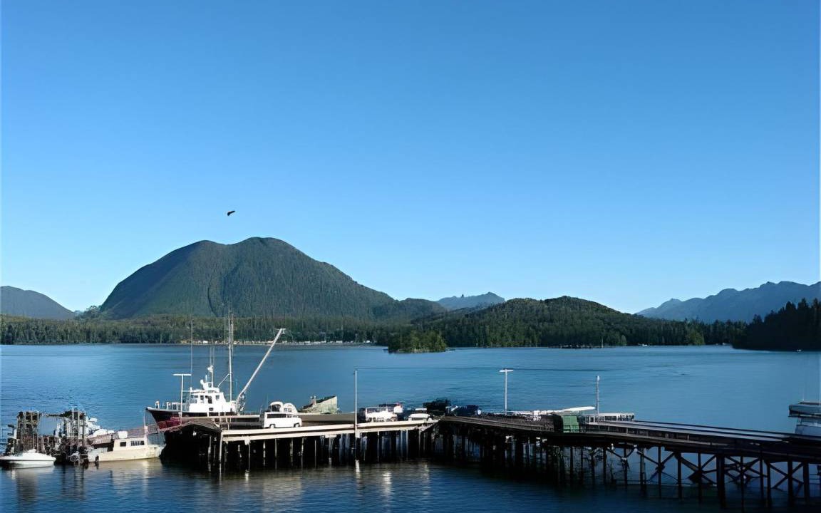 Photo of Others in Tofino