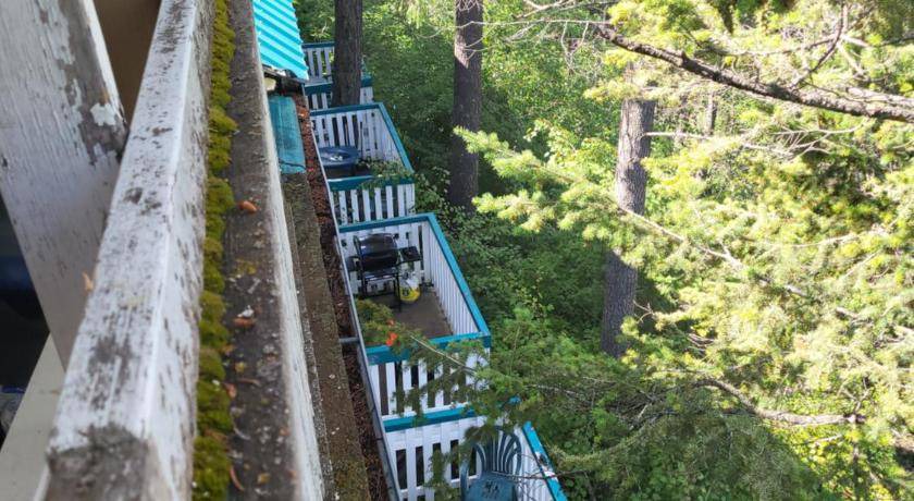 Photo of Others in East Kootenay