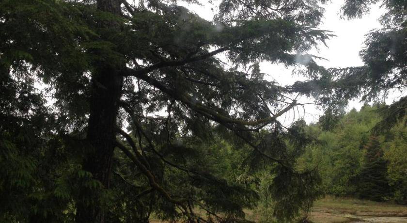 Photo of Others in Ucluelet