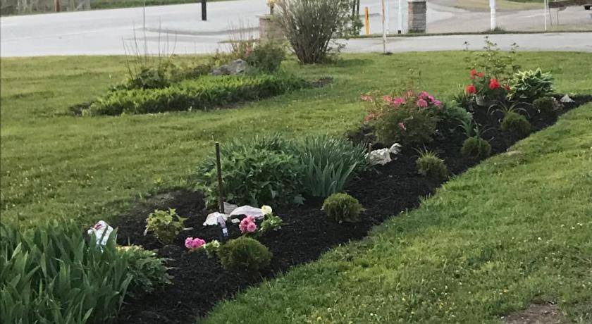 Photo of Others in Wiarton
