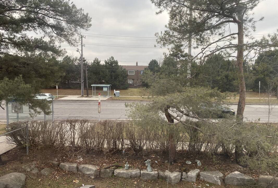 Photo of Others in Black Creek