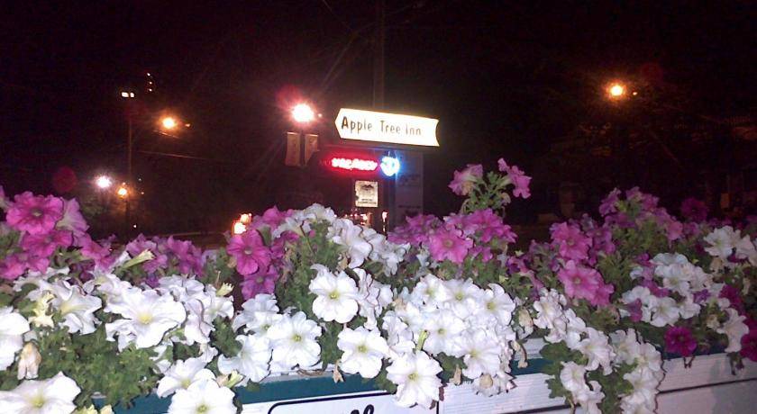 Photo of Others in East Kootenay