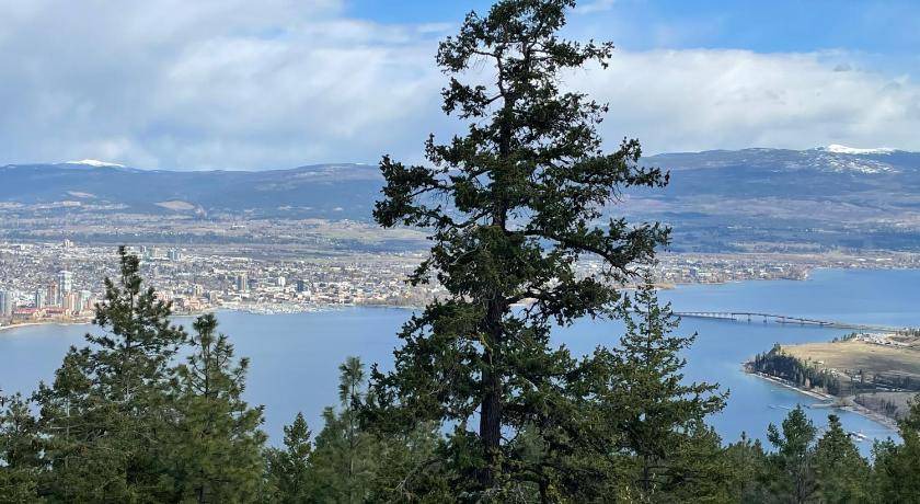 Photo of Others in West Kelowna Estates