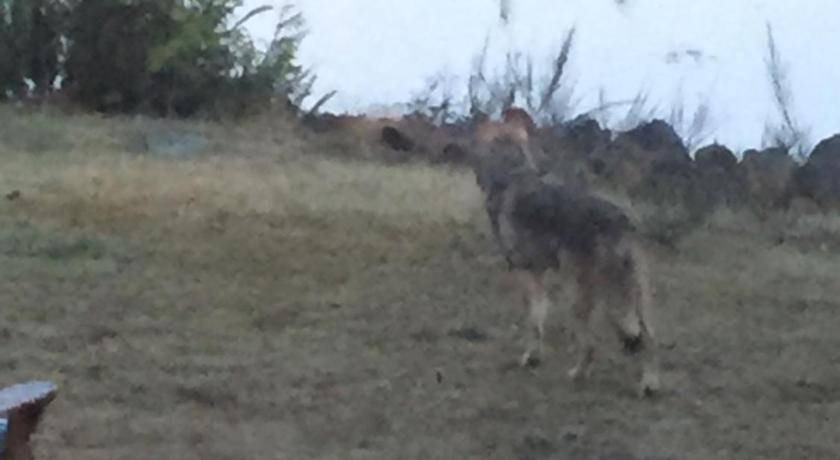 Photo of Others in Ucluelet