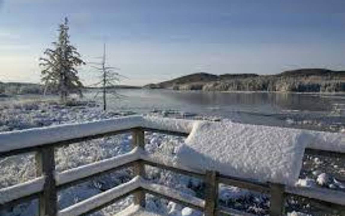 Photo of Others in Lac-Saint-Charles