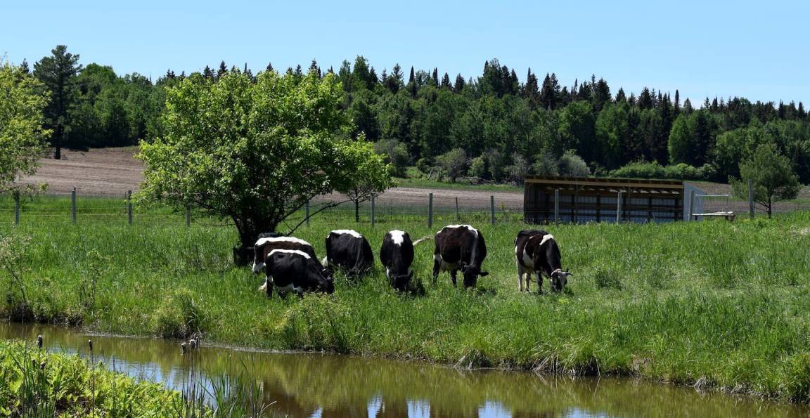 Photo of Others in Powassan
