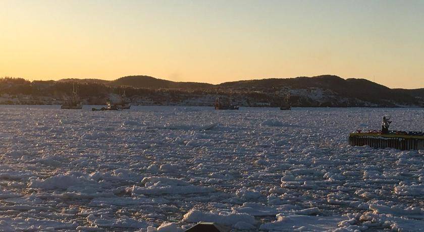 Photo of Others in Twillingate