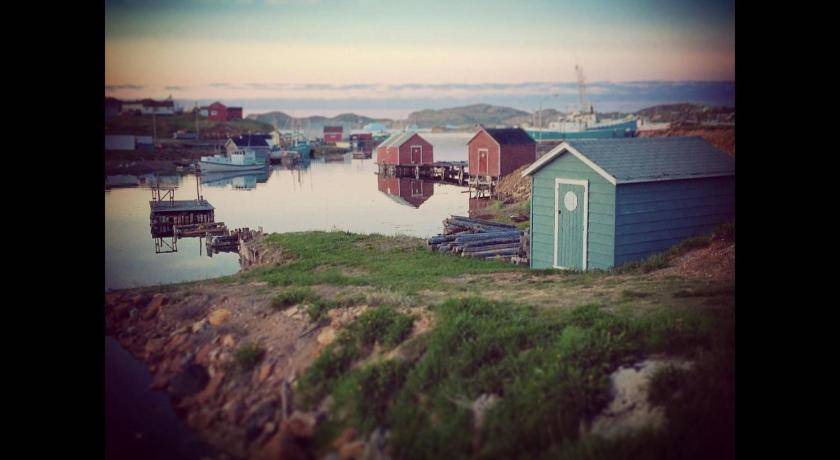 Photo of Others in Twillingate