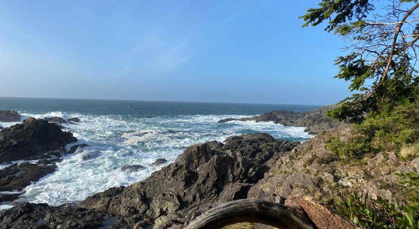Photo of Others in Ucluelet