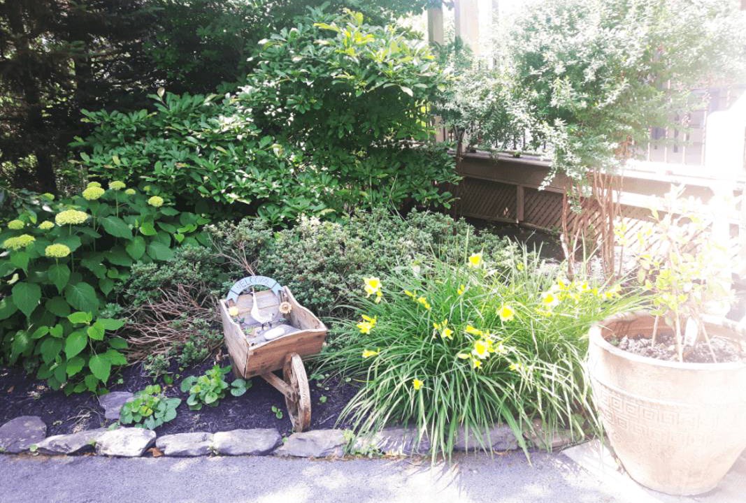 Photo of Others in Lucasville