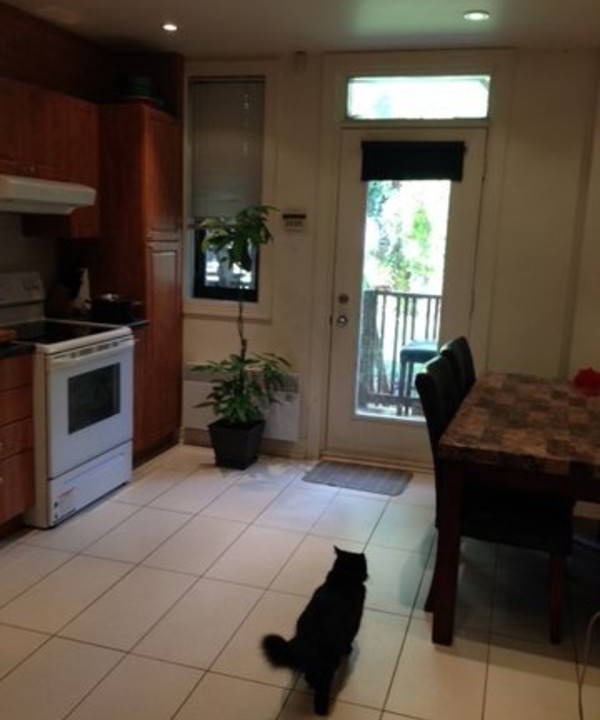 Photo of Kitchen in Cote-Des-Neiges—Notre-Dame-De-Grace