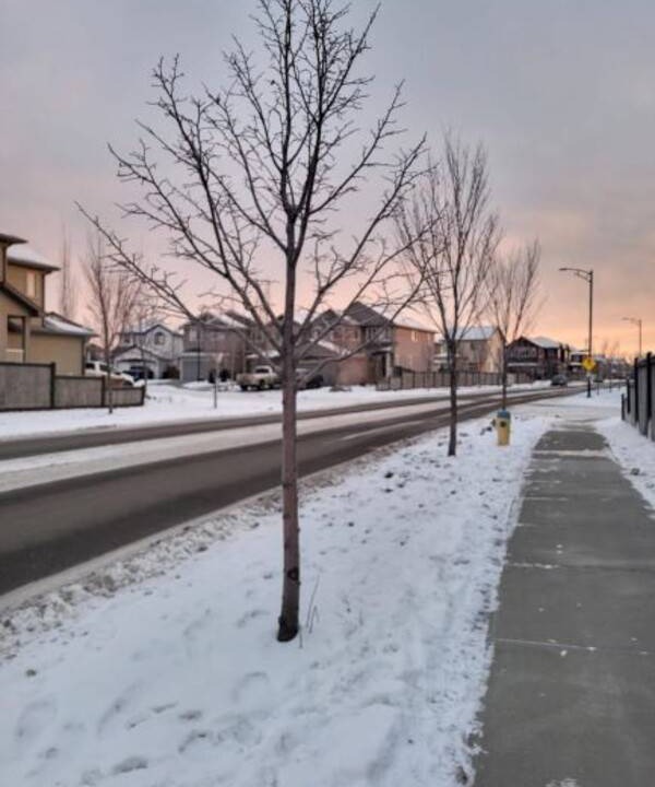 Photo of Others in Southwest Edmonton