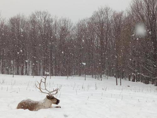 Photo of Others in Grey Highlands