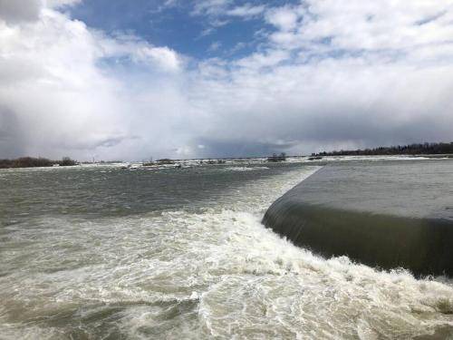 Photo of Others in Niagara Falls