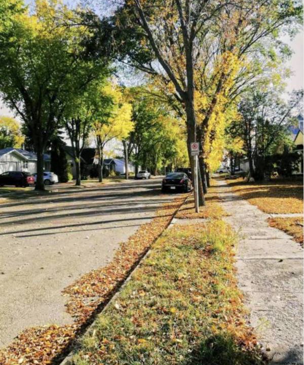 Photo of Others in North Battleford