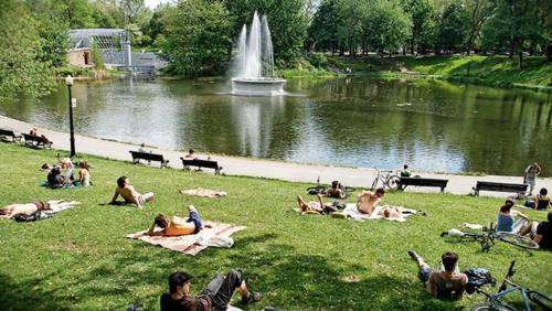 Photo of Others in Milton Park