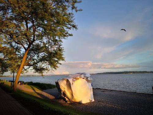 Photo of Others in White Rock