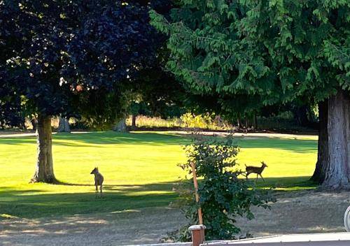 Photo of Others in Regional District of Nanaimo