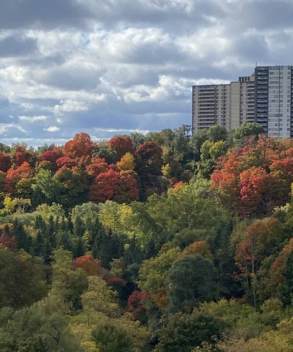 Photo of Others in Flemingdon Park