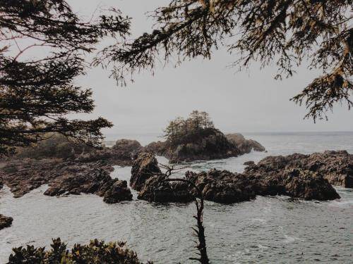Photo of Others in Ucluelet