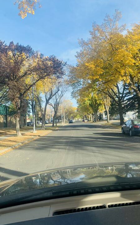 Photo of Others in West Edmonton