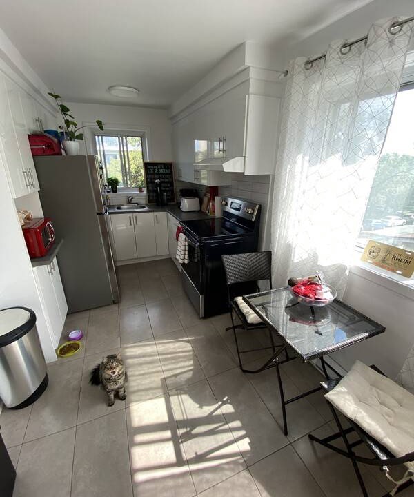 Photo of Others in Rosemont-La Petite-Patrie