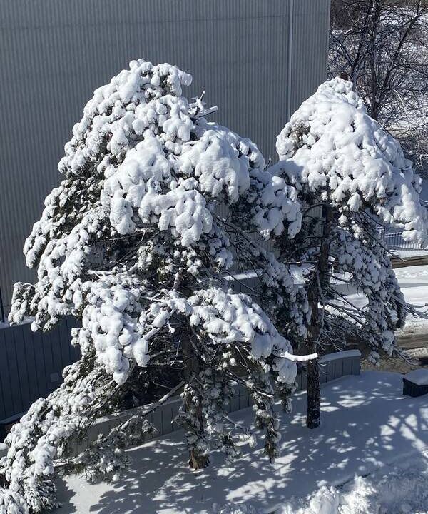 Photo of Others in Flemingdon Park
