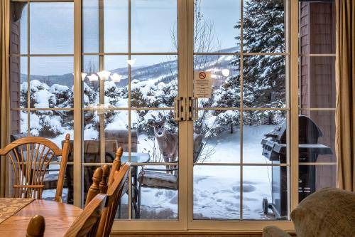 Photo of Others in Mont-Tremblant