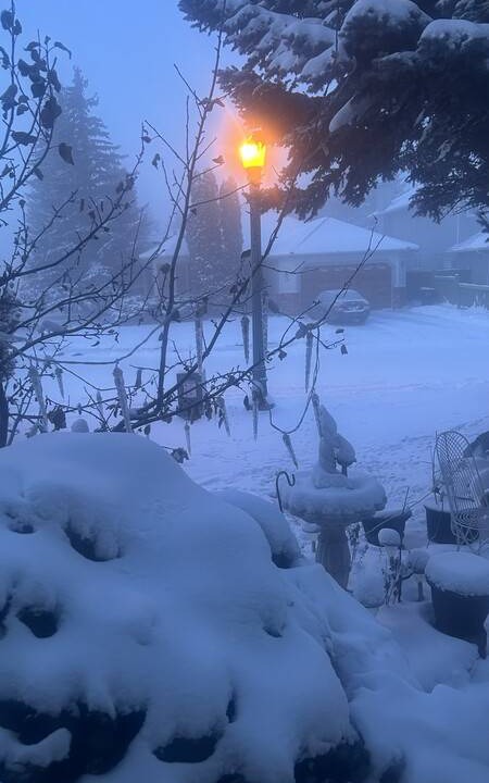 Photo of Others in West Edmonton