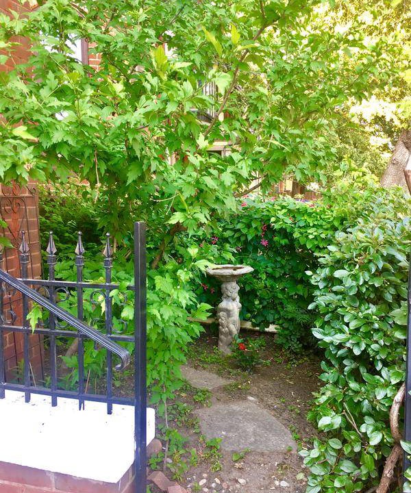Photo of Others in Cabbagetown South