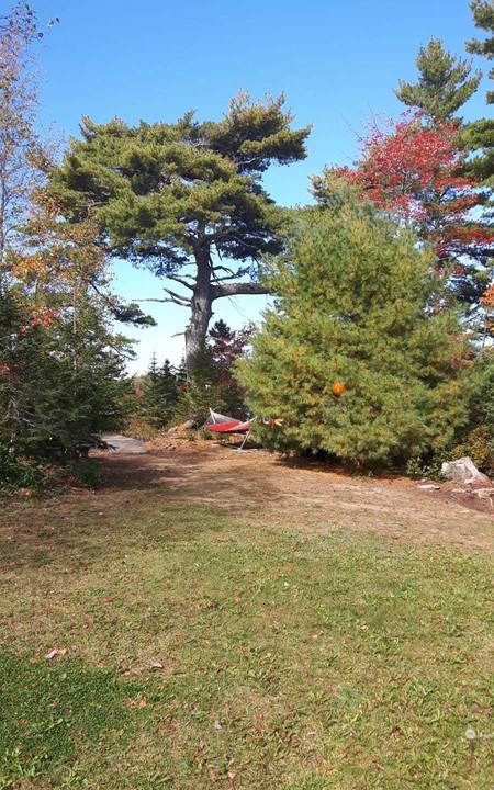 Photo of Others in Lucasville