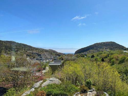 Photo of Others in Quidi Vidi