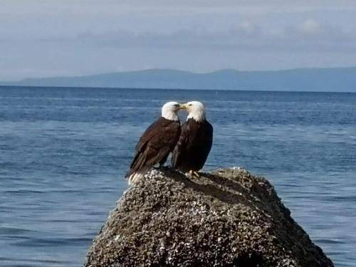 Photo of Others in White Rock