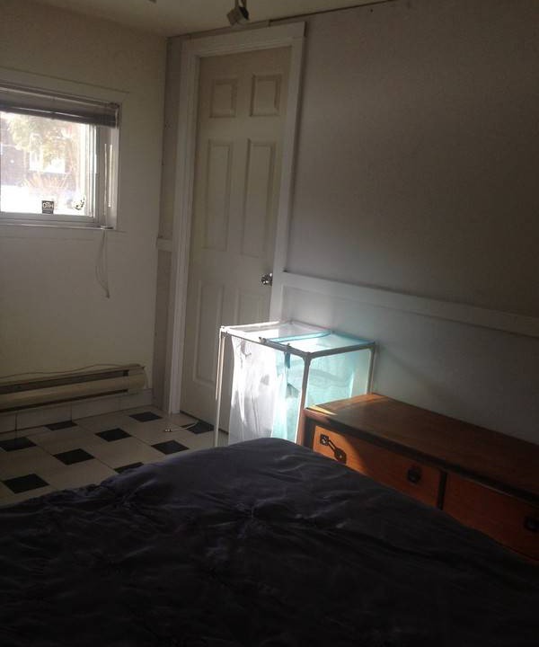 Photo of Others in Cote-Des-Neiges—Notre-Dame-De-Grace