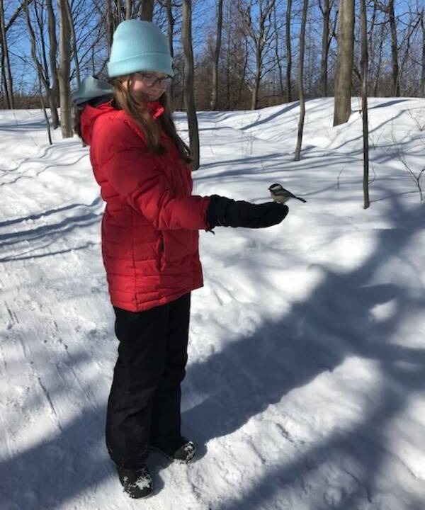 Photo of Others in Sainte-Foy-Sillery-Cap-Rouge