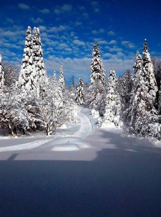 Photo of Others in Lac-Superieur