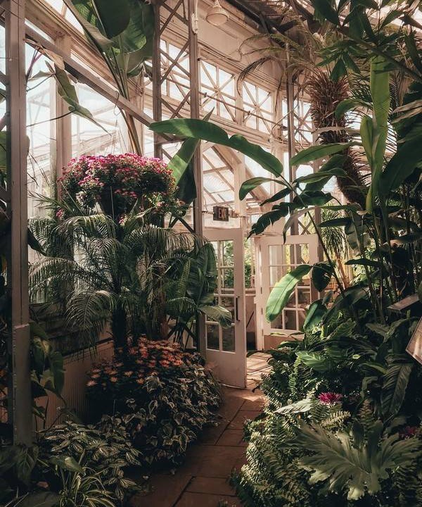 Photo of Others in Cabbagetown