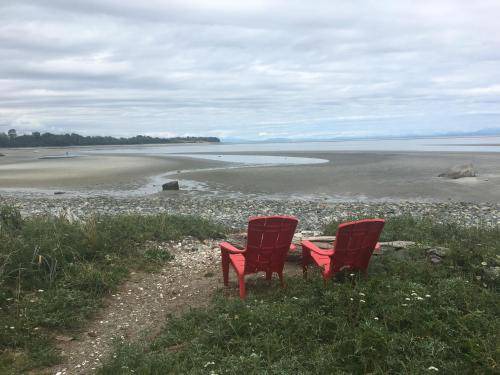 Photo of Others in Comox