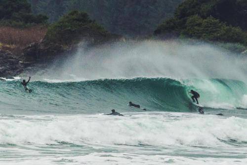 Photo of Others in Ucluelet