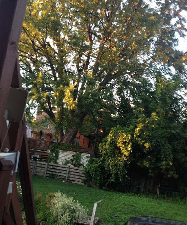 Photo of Others in Cote-Des-Neiges—Notre-Dame-De-Grace