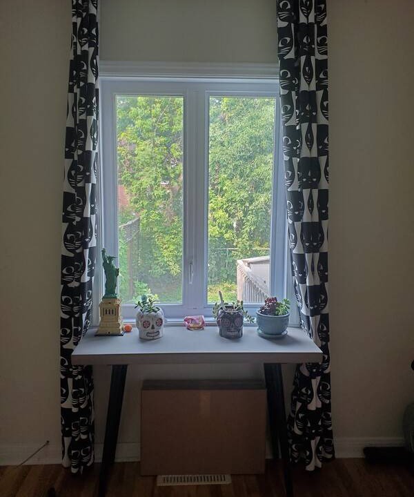 Photo of Others in Cote-Des-Neiges—Notre-Dame-De-Grace