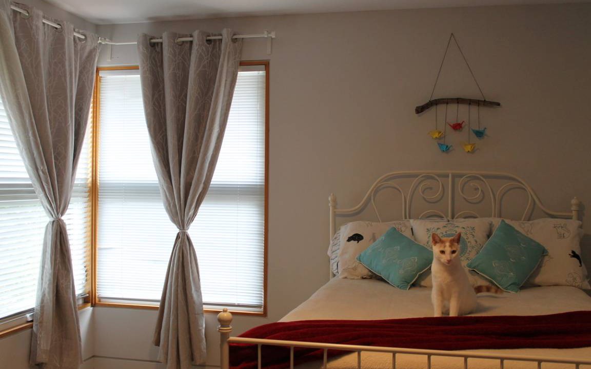 Photo of Bedroom in Carlingwood West - Glabar Park - McKellar Heights