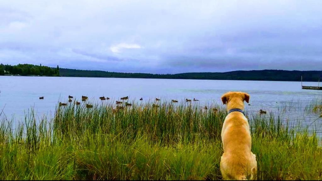 Photo of Outdoor in Senneterre