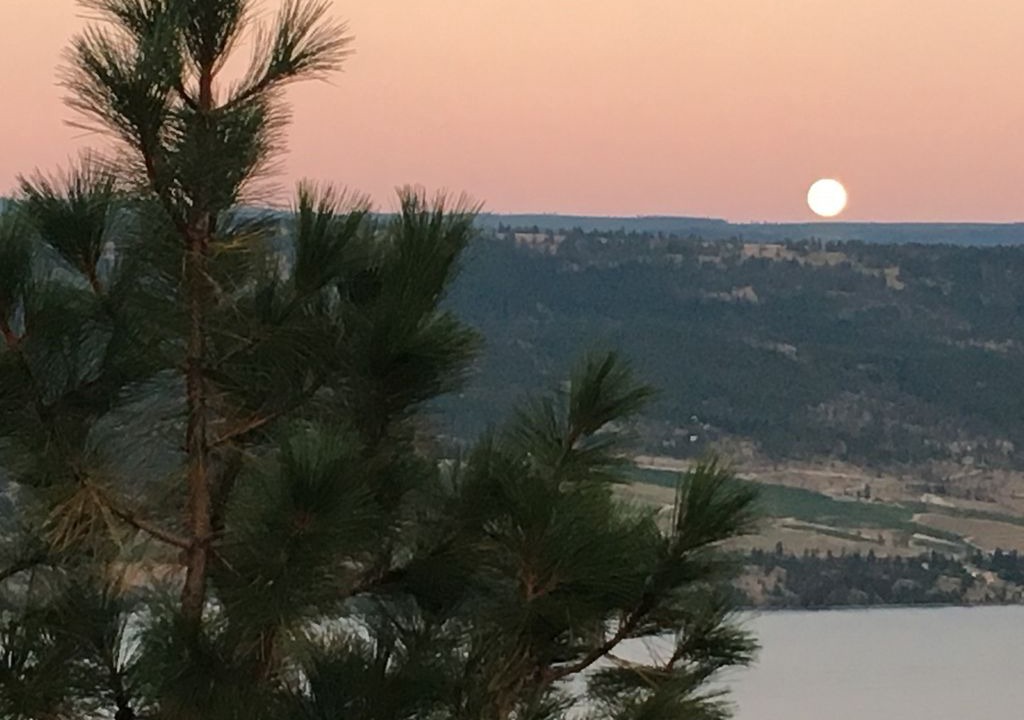 Photo of Outdoor in Westbank