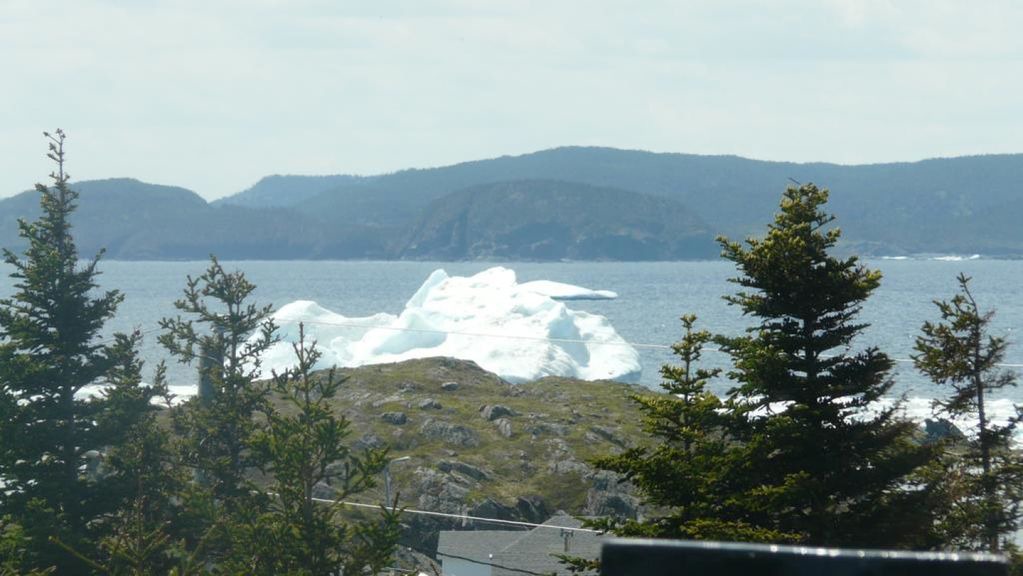 Photo of Others in Twillingate