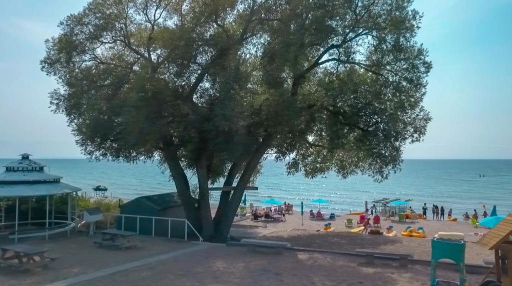 Photo of Outdoor in Balm Beach