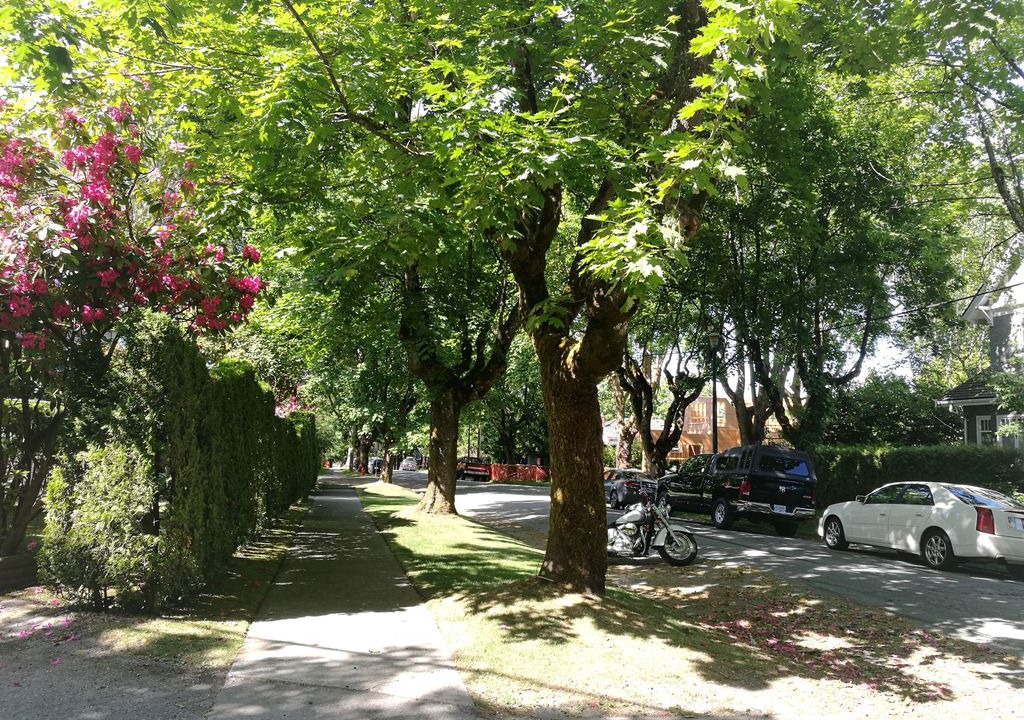 Photo of Others in Shaughnessy