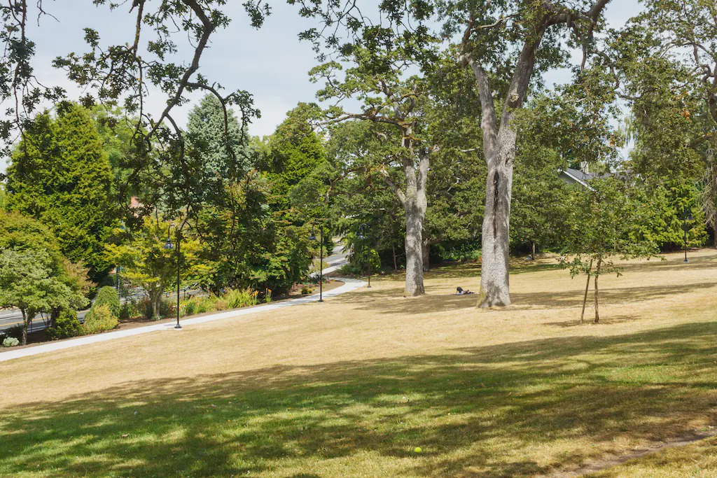 Photo of Others in Fernwood